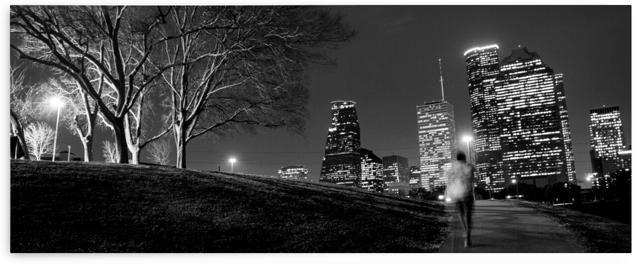 houston cityscape buffalo bayou  panoramic 941 Ru by Black And White