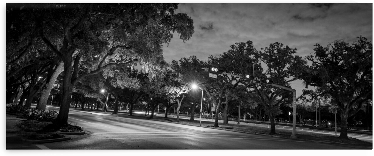 rice university main and fanin intersection  pano by Black And White