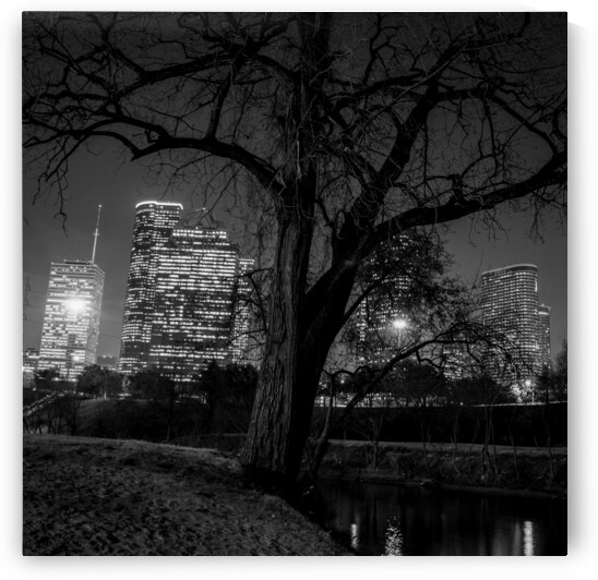 houston skyline in buffalo bayou  square 934 Oak by Black And White