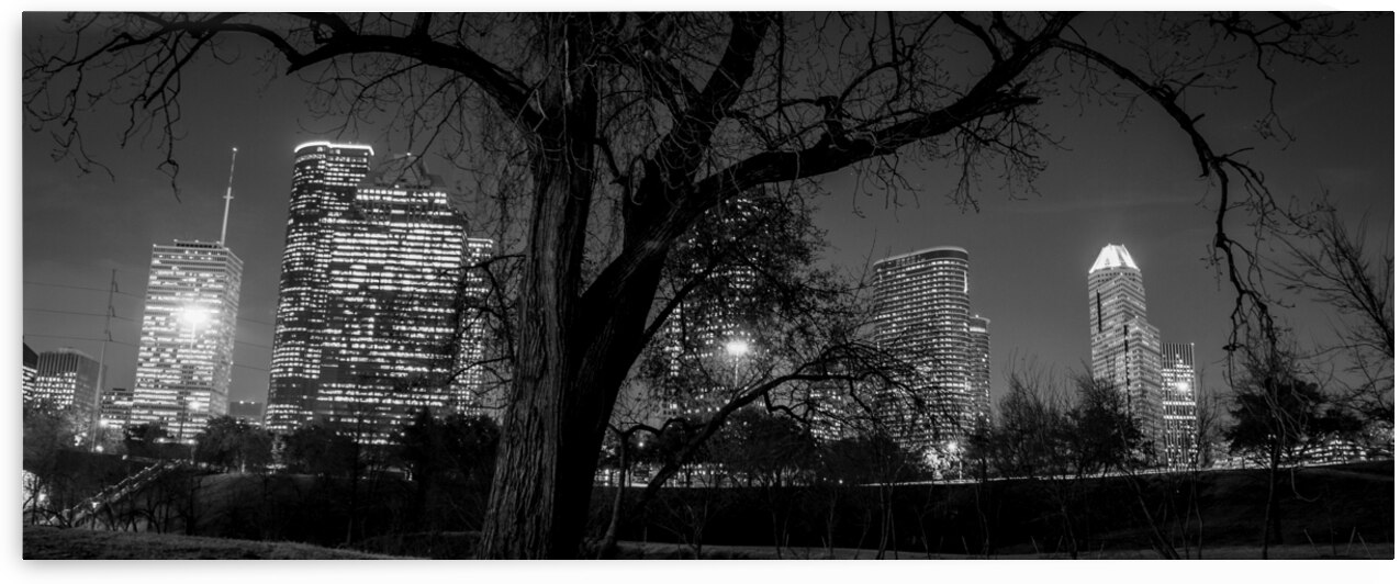 houston skyline in buffalo bayou  panoramic 934 O by Black And White