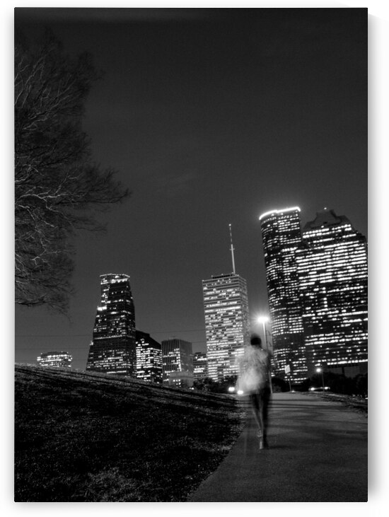 houston cityscape buffalo bayou  vertical 941 Run by Black And White
