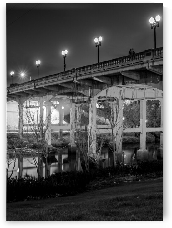 sabine bridge elanor tinsley park  vertical 3282 by Black And White
