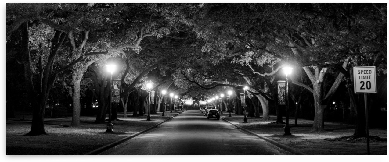 rice university at night  panoramic 938 Rice 13k. by Black And White