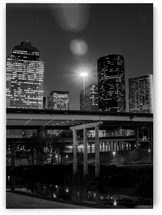 houston skyline over buffalo bayou  vertical 3274 by Black And White