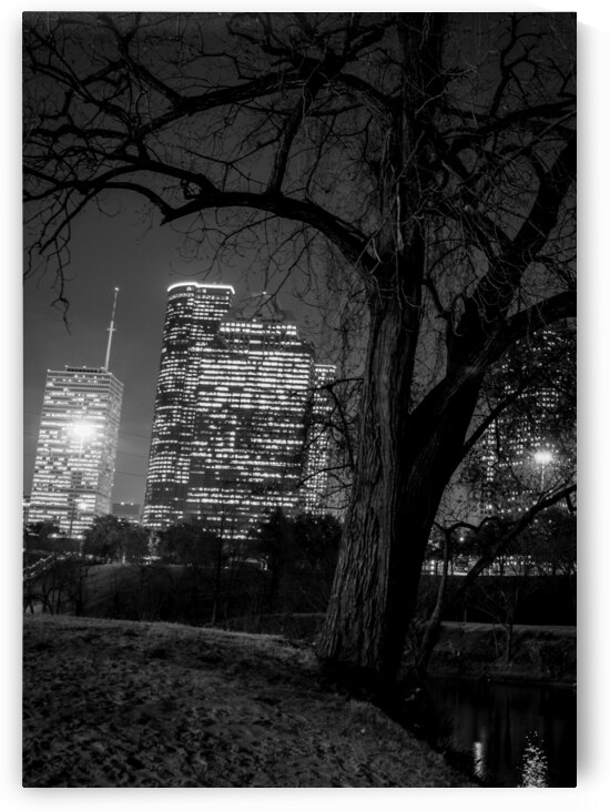 houston skyline in buffalo bayou  vertical 934 Oa by Black And White