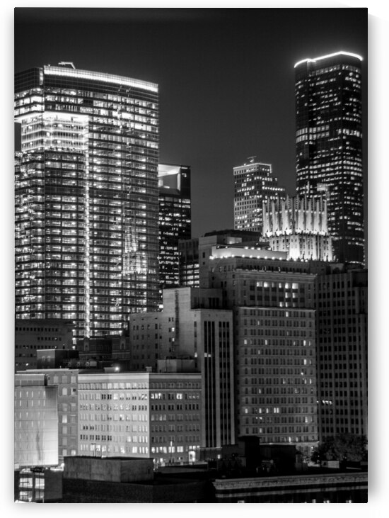houston cityscape at night  vertical 927 Harris 1 by Black And White