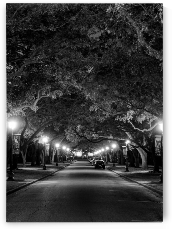 rice university at night  vertical 938 Rice 13k.j by Black And White