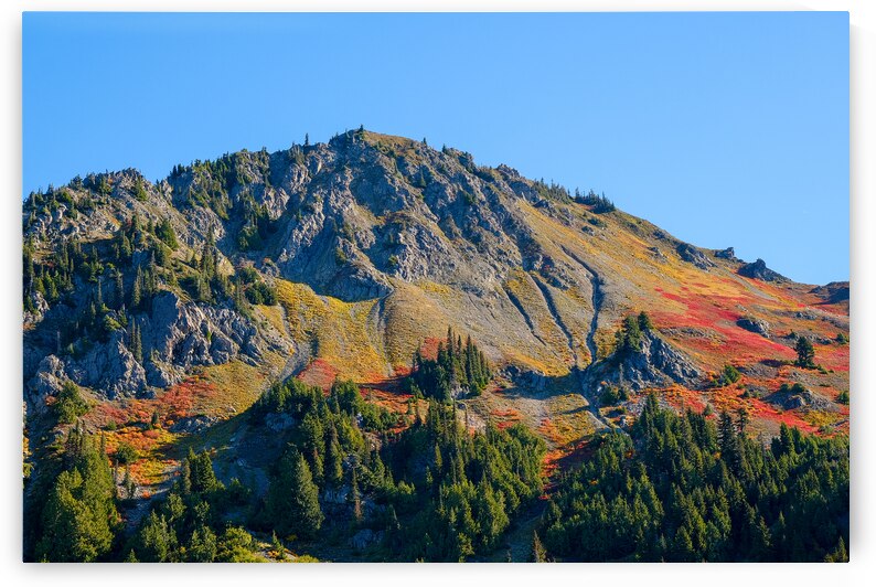 Fall Colors in the Olympics by Brad Millett Photography