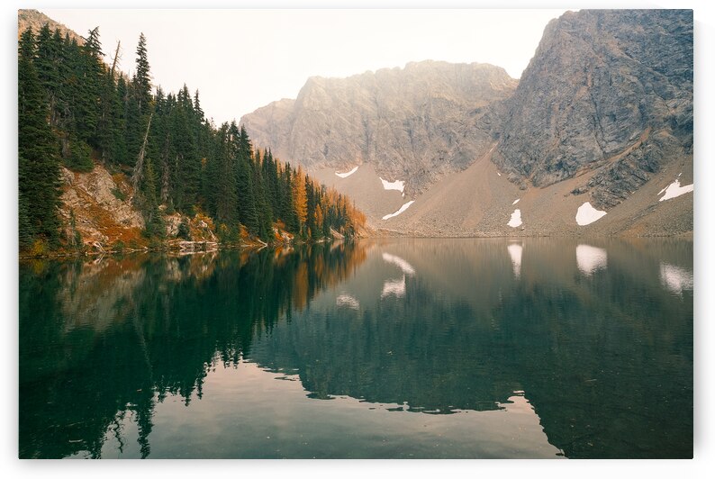 Larches in the Mirror by Brad Millett Photography