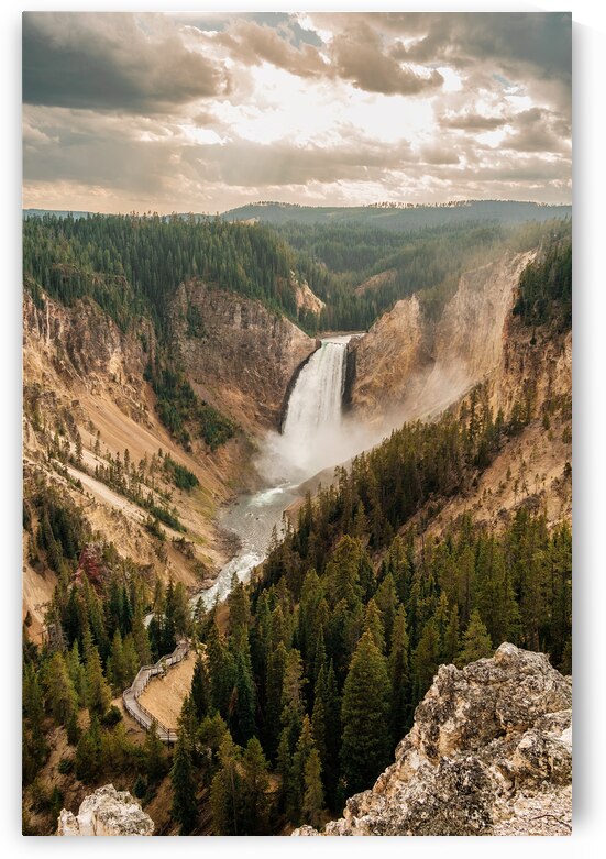 Grand Canyon of Yellowstone by Brad Millett Photography