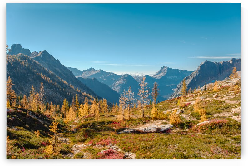 Larches and Porcupine Peak by Brad Millett Photography