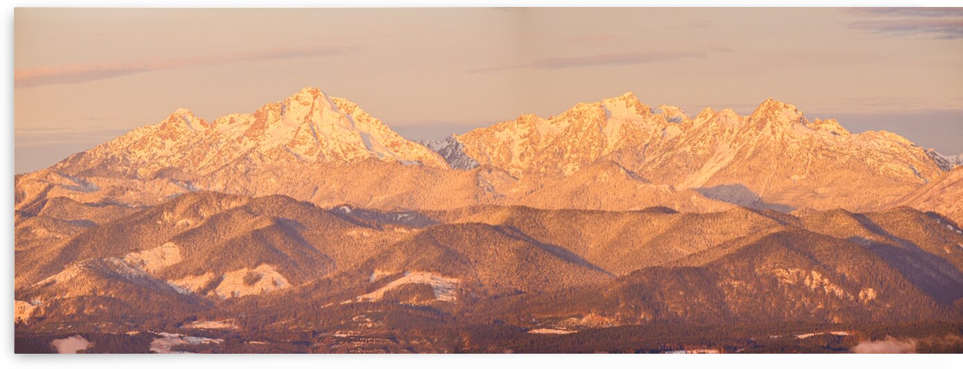 Ellinor Washington Pershing Jefferson by Brad Millett Photography