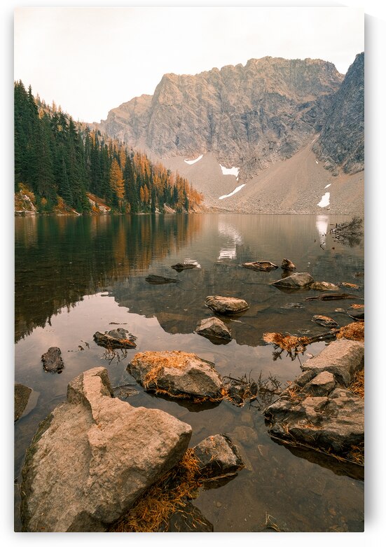 Larch Madness by Brad Millett Photography