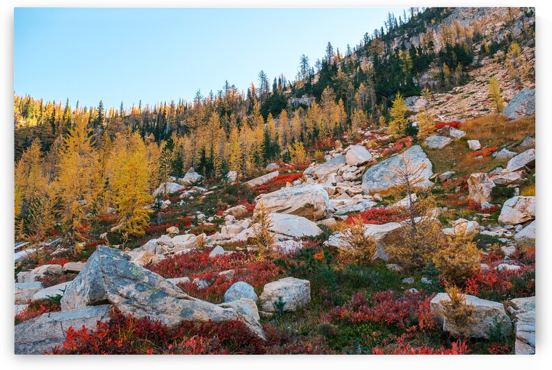 Fall Wonderland by Brad Millett Photography