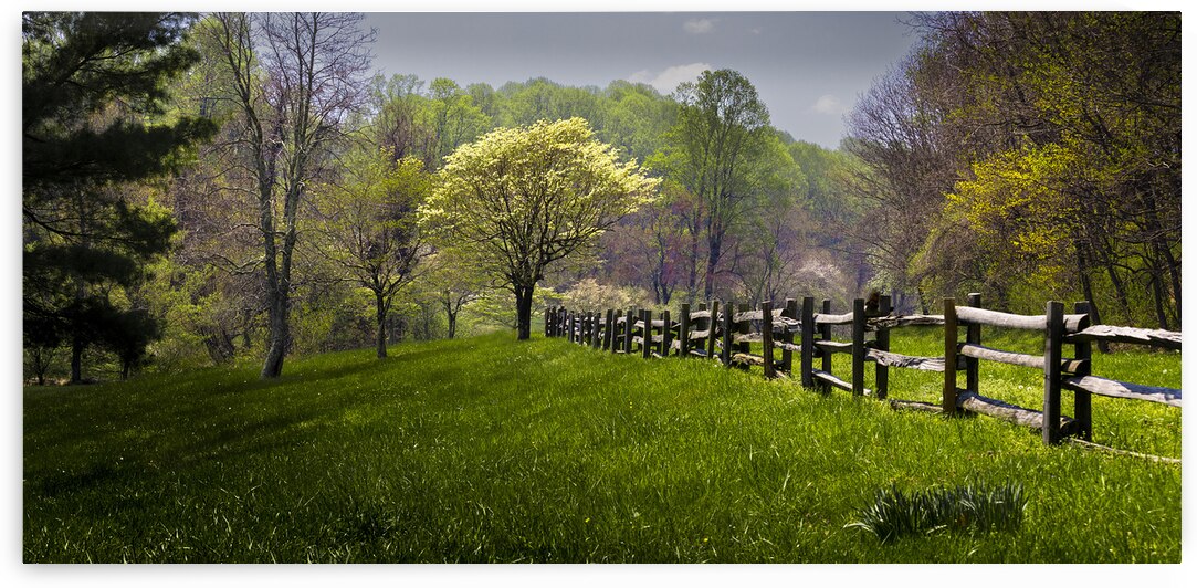 Peaks of Otter in Spring Blooms by Norma Brandsberg Photography