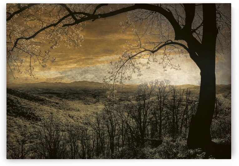Draped Across the Blue Ridge  Valley by Norma Brandsberg Photography