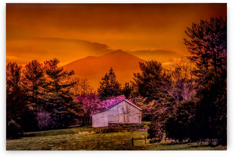 Blue Ridge Mountain Farm 1 by Norma Brandsberg Photography