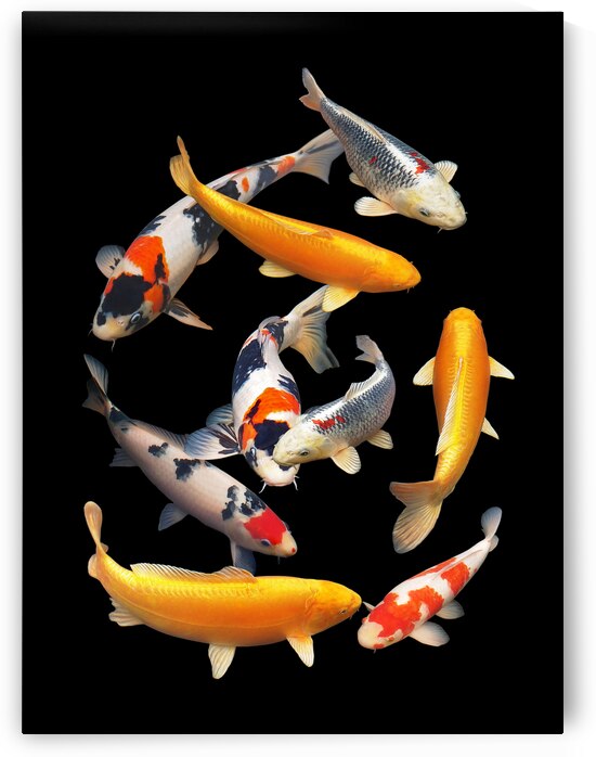 Colorful Japanese Koi Vertical by Gill Billington