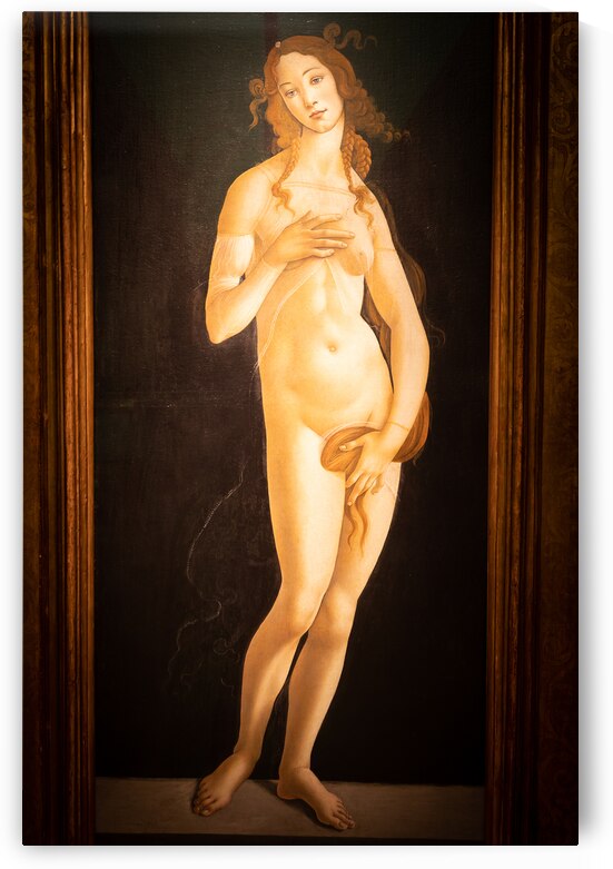 The painting of Venus by Sandro Botticelli oil on canvas 1490 by Paolo Modena