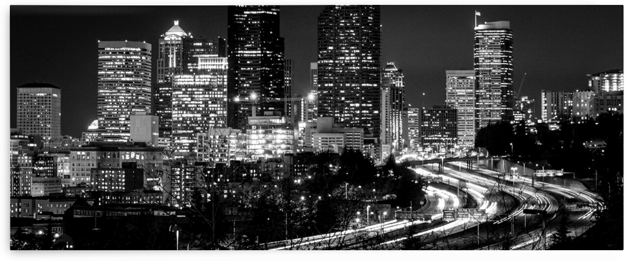 downtown seattle skyline rizal park  panoramic 30 by Black And White