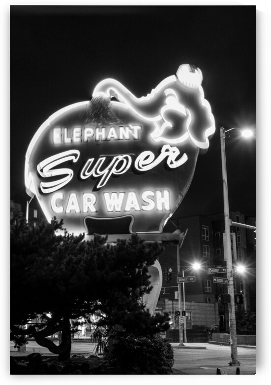 pink elephant car wash  vertical 2680 Elephant 13 by Black And White