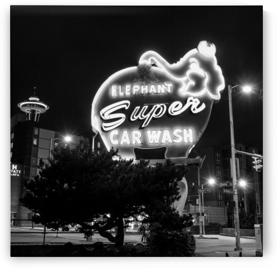 pink elephant car wash  square 2680 Elephant 13k. by Black And White