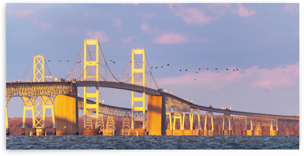 Morning Flight by Geoffrey Prior