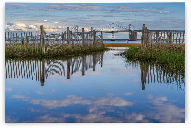 Chesapeake  Bay Morning   by Geoffrey Prior