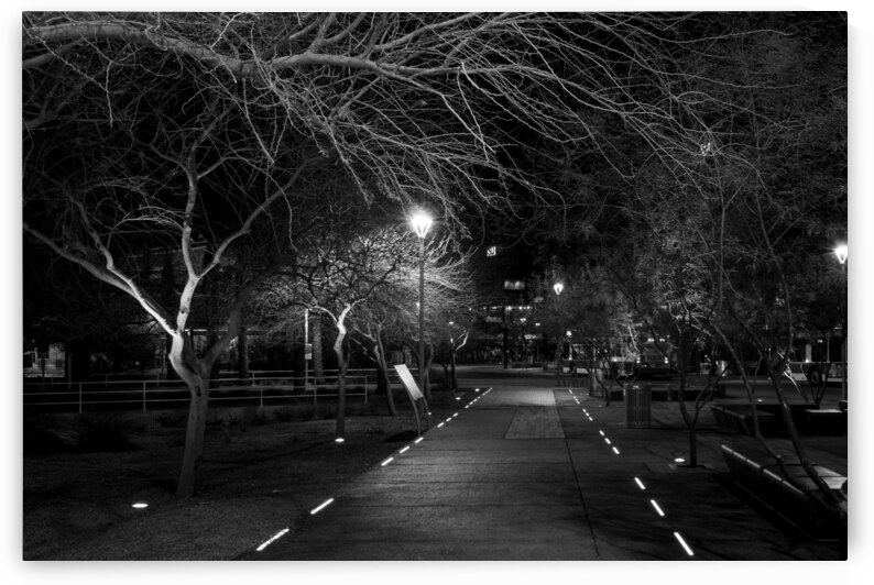 lit path near phoenix central station  horizontal by Black And White