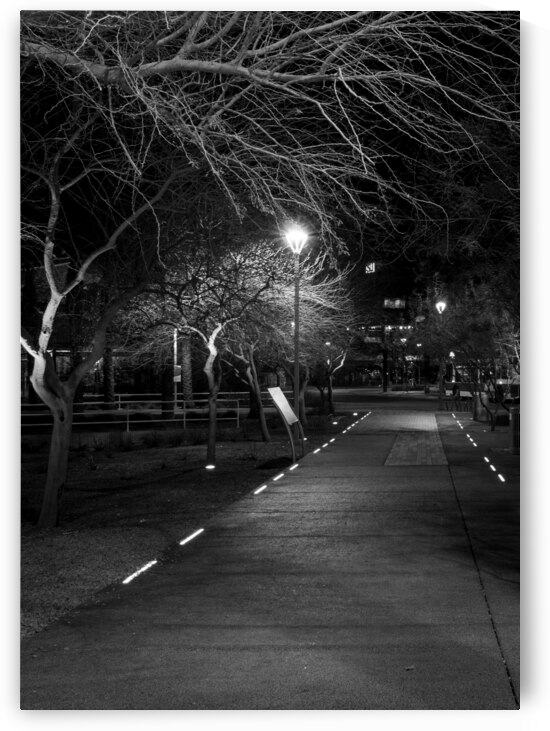 lit path near phoenix central station  vertical 1 by Black And White