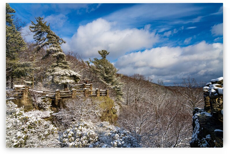 Coopers Rock overlook covered in winter snow near Morgantown by Steve Heap
