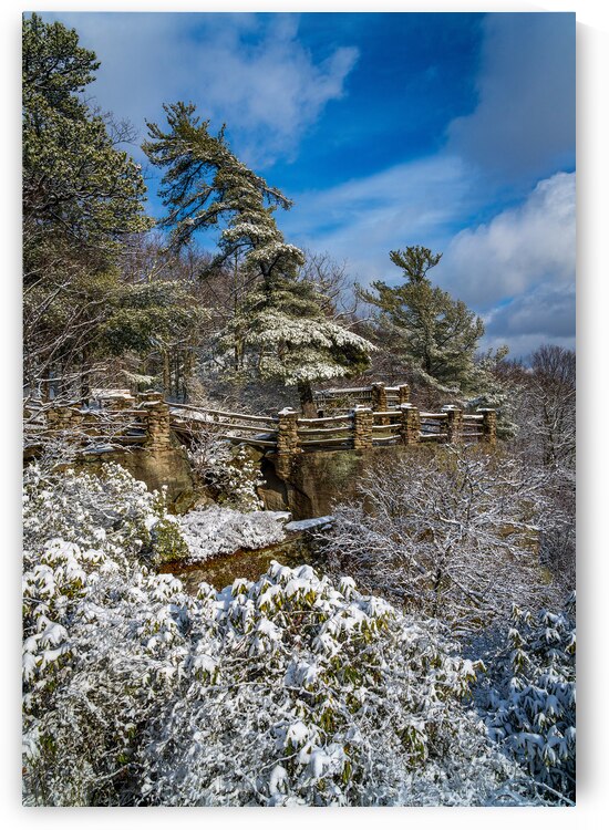 Coopers Rock overlook covered in winter snow near Morgantown by Steve Heap