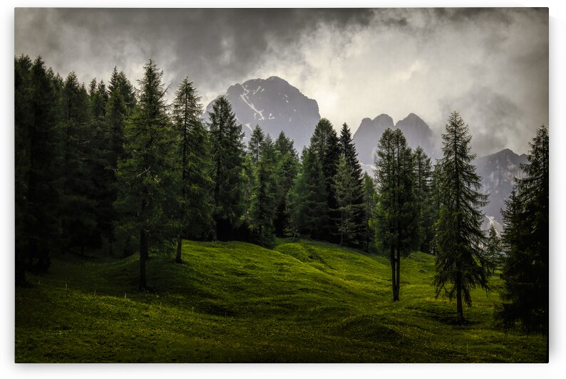 Dolomite Possa di Fassa  Mountain Forest Silhouette by Norma Brandsberg Photography