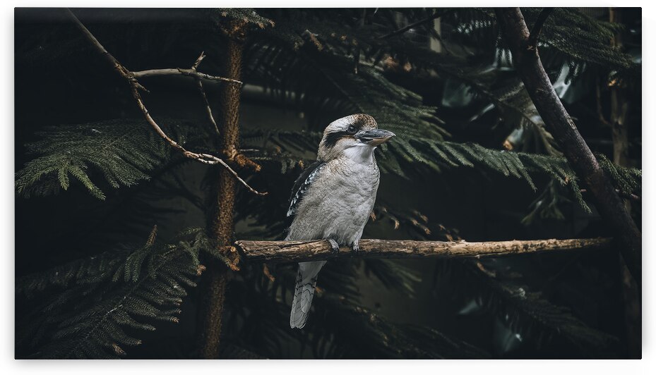  VOP5480 by vanOgtrop Photography