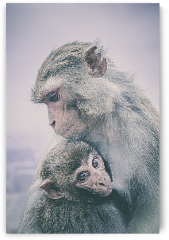 A Mothers Love by vanOgtrop Photography