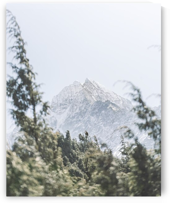  VOP1498 by vanOgtrop Photography