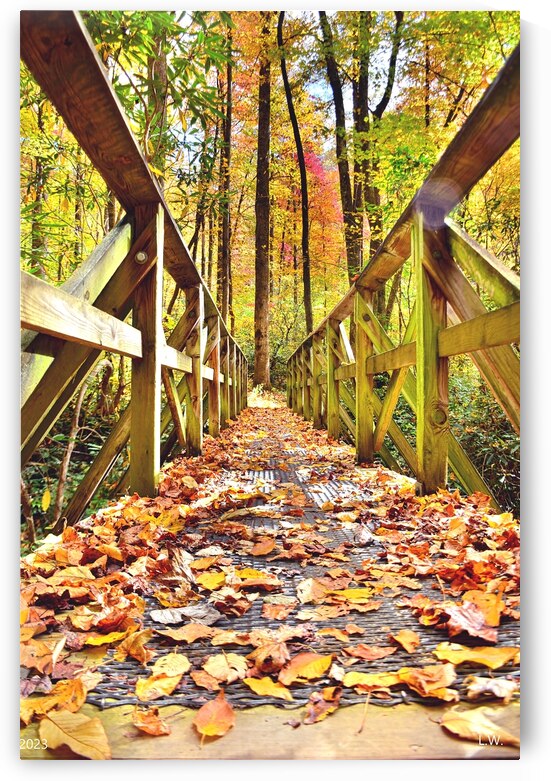  Walking Into Autumn by Lisa Wooten Photography