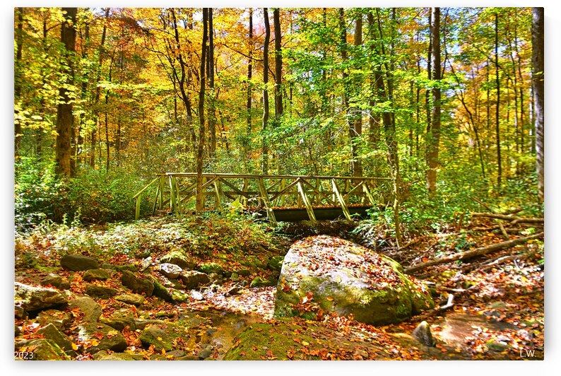  Bolder And Bridge by Lisa Wooten Photography