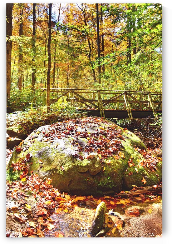  Autumn On The Bolder Vertical. by Lisa Wooten Photography