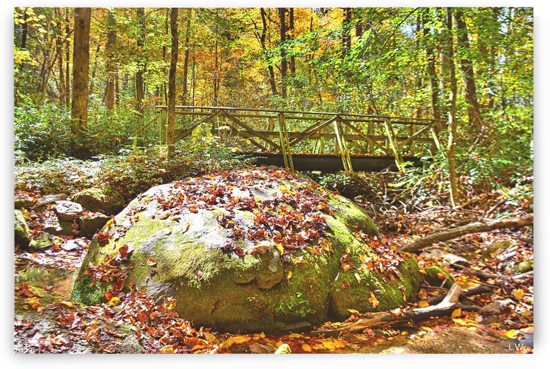 Autumn On The Bolder by Lisa Wooten Photography