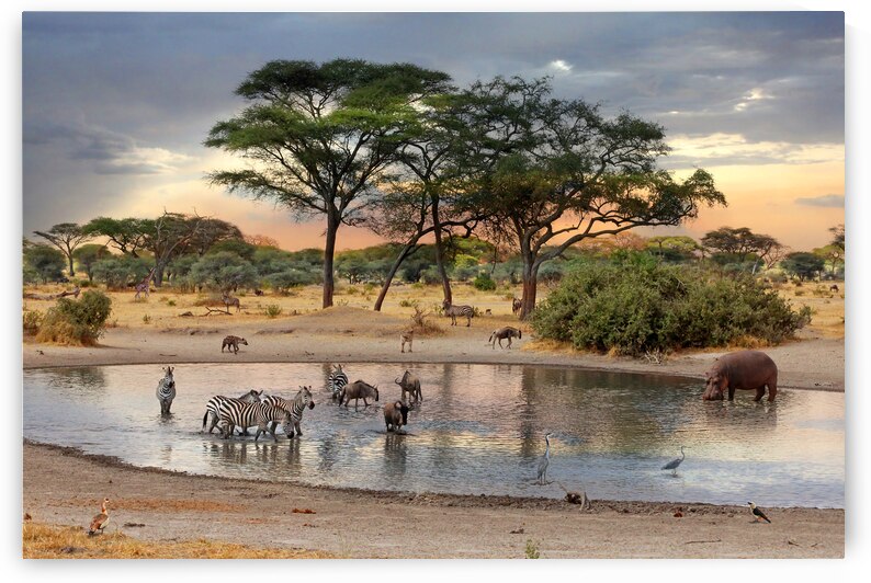 African Safari Wildlife at the Waterhole by Gill Billington