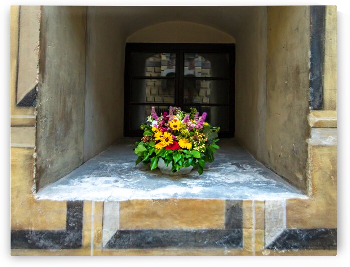 Rothenburg ob der Tauber Window by Norma Brandsberg Photography