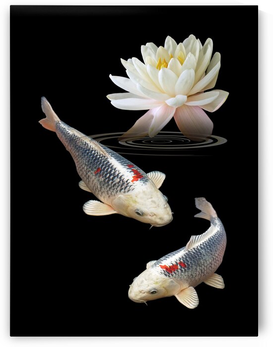  Silver and Red Koi with Water Lily Vertical by Gill Billington