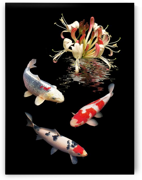 Koi With Honeysuckle Reflections Vertical by Gill Billington