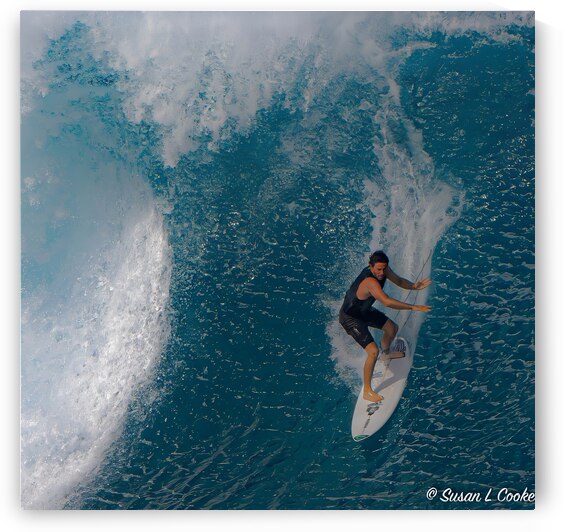 BZ9 2722 Enhanced NR by Susan Lynn Cooke