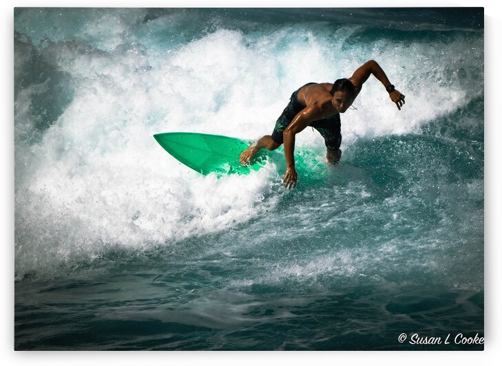 Detour by Susan Lynn Cooke