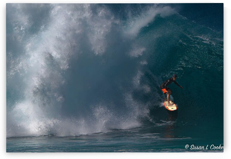 Carving it by Susan Lynn Cooke