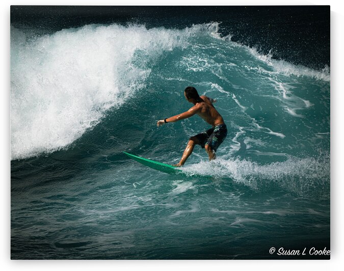 Surfing fun by Susan Lynn Cooke