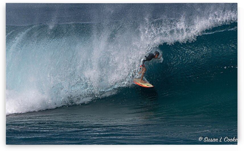 BZ9 3336 Enhanced NR by Susan Lynn Cooke