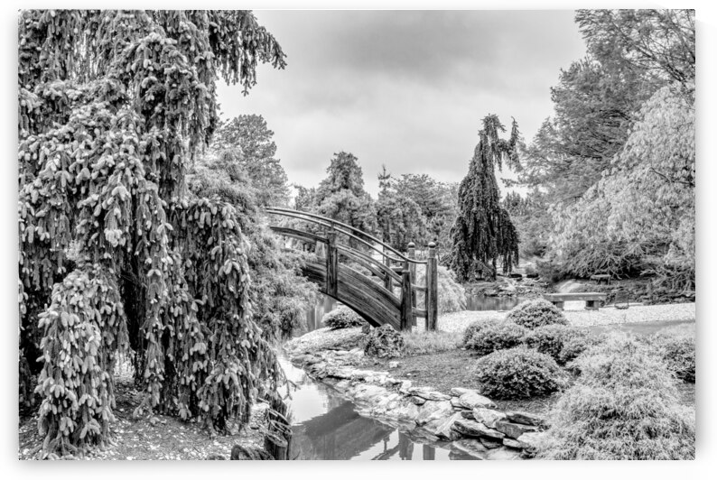 Spring At A Japanese Garden Grayscale by Jennifer White
